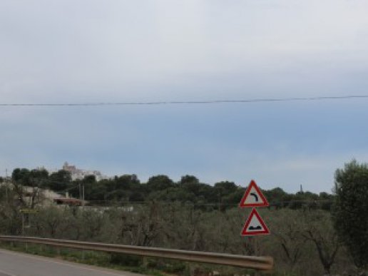 Ostuni, agricultural land a few km from the sea - 6