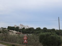 Ostuni, agricultural land a few km from the sea - 12