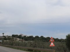 Ostuni, agricultural land a few km from the sea - 11