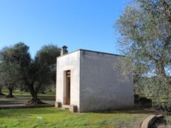 Traditional trullo with large land and possibility of extension and swimming pool - 9