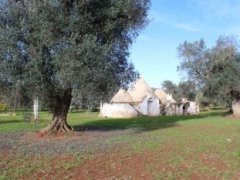 Traditional trullo with large land and possibility of extension and swimming pool - 14