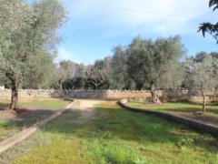 Traditional trullo with large land and possibility of extension and swimming pool - 12