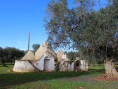 Traditional trullo with large land and possibility of extension and swimming pool - 23