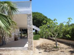 Villa with large garden 300 meters from the sea - 9