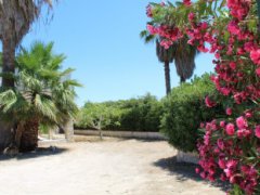 Villa with large garden 300 meters from the sea - 47