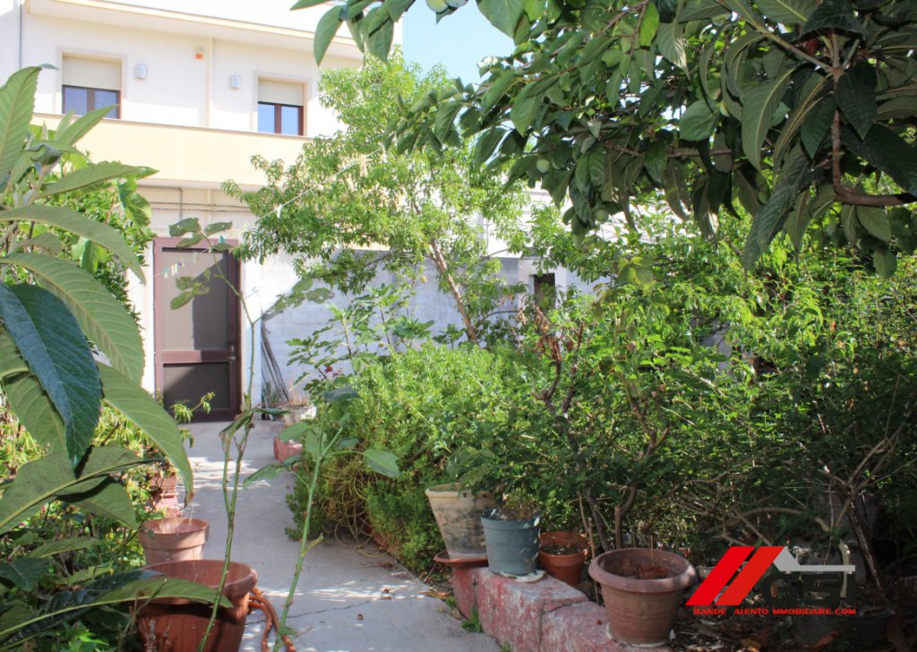 Sale Independent Houses San Michele Salentino - San Michele Salentino, detached house with vegetable gardens Locality 